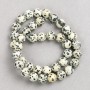 Jasper Dalmatian Beads on Thread Smooth Round Bead, 10mm diameter ±, Length 38cm ±