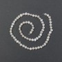 River Pearls with a Petrol (Gasoline) Hue on a Thread, 5.5×4.5 mm, diameter 5.5×4.5mm±, length 37 cm±