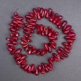 Natural coral beads, 13x6mm, 40cm on fishing line