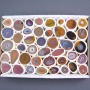 Souvenir Geode with Carnelian Assorted Sizes (price per box)