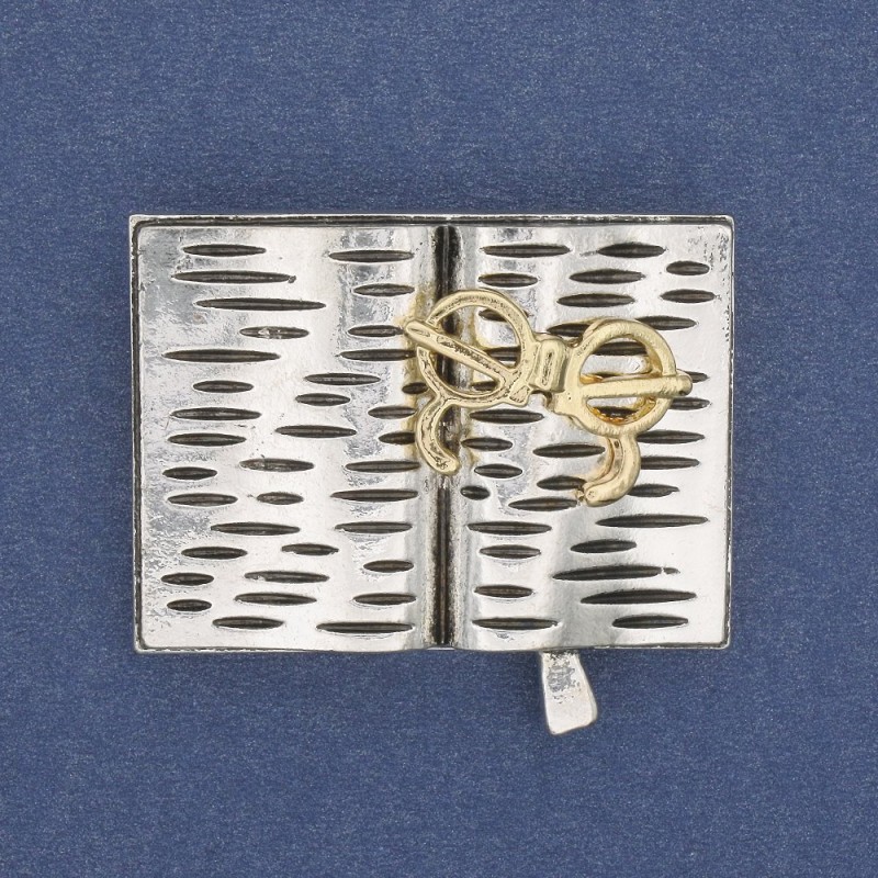 Brooch Book with Glasses with Gray and Gold Enamel, Silver Metal 35x26mm