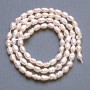 Freshwater pearls small on a string, diameter 4×4, 5mm±, length 36cm±